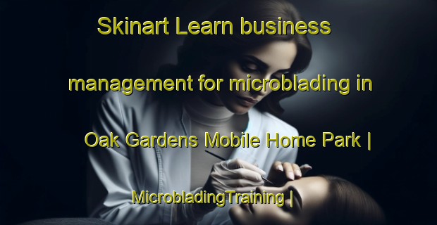 Skinart Learn business management for microblading in Oak Gardens Mobile Home Park | MicrobladingTraining | MicrobladingClasses | SkinartTraining-United States